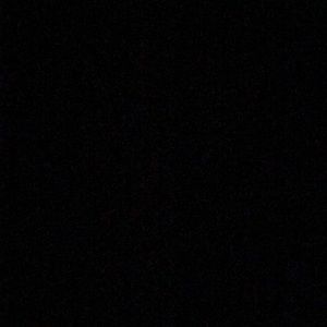 Meet your Posher, Trevor